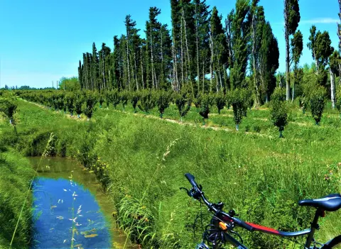 TARASCON - La campagne provençale à vélo