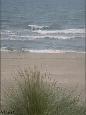 Plage La Brise de Mer