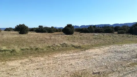 SAINT-RÉMY-DE-PROVENCE - À la rencontre des oiseaux de la Petite Crau