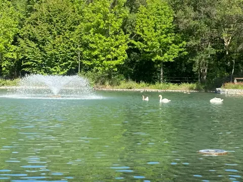 Le jardin de Gaston