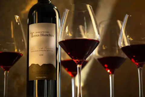 Domaine des Terres Blanches
