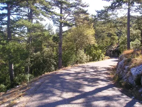 Col du Grand Sambuc