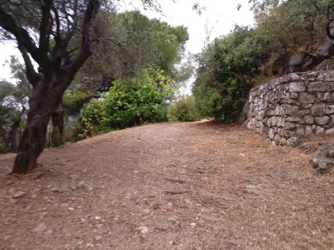 Parc Blanche de Castille
