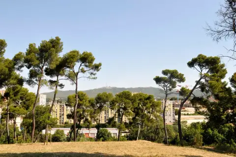 Parc Saint-Théodore