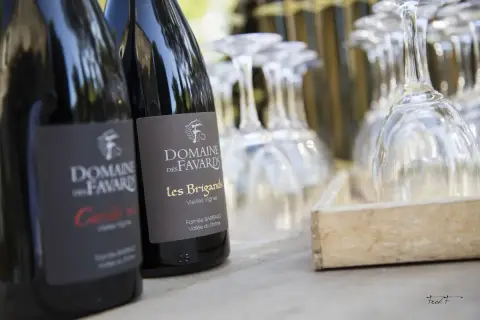 Domaine des Favards