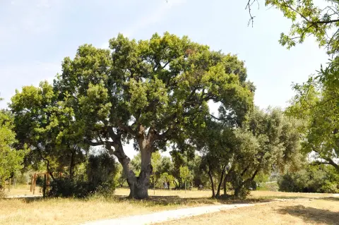 Parc champêtre