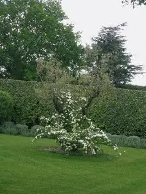 Jardin de Payan