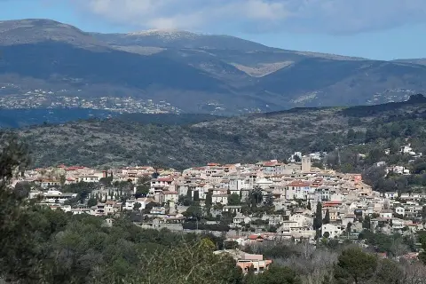 Biot