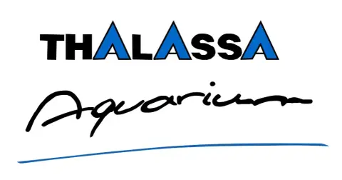 Thalassa Aquarium