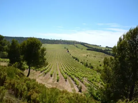 Château Beauferan