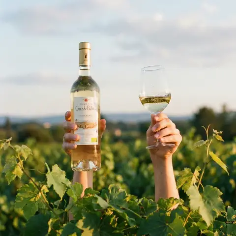 Domaine de la grande Palliere