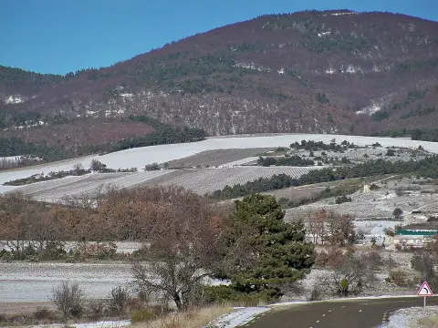 Plateau d'Albion
