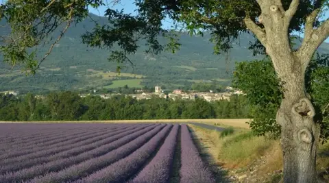 Plan d'eau de Champbeau