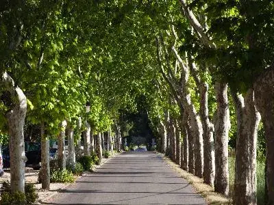 Belles Routes : De Tarascon à Salon-de-Provence