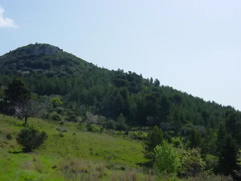Mont Combe