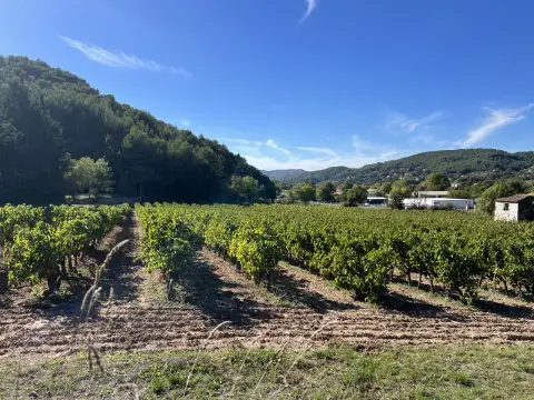 Les Vignerons du Garlaban - Auriol