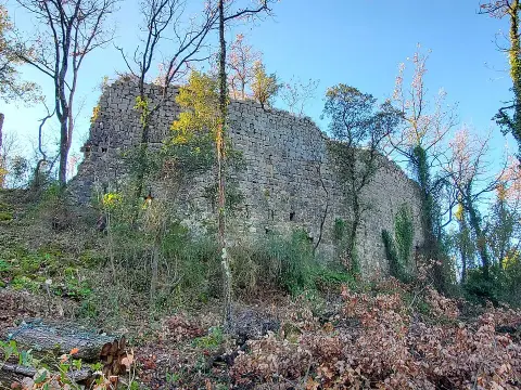 Village médiéval de Puybresson ou Pibresson-Venasque (ruines du)
