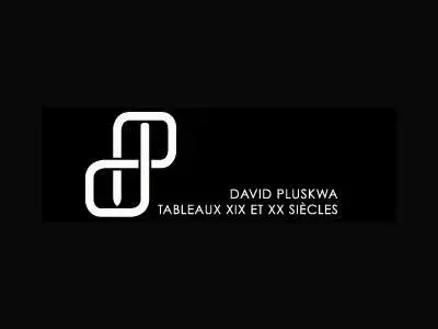David Pluskwa