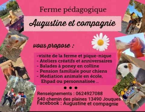 Augustine & Compagnie - Méditation animale