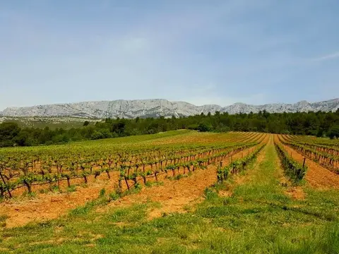 Cave de Rousset