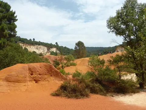 Colorado Provencal