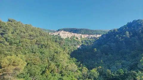 Marché de Tourrettes sur Loup