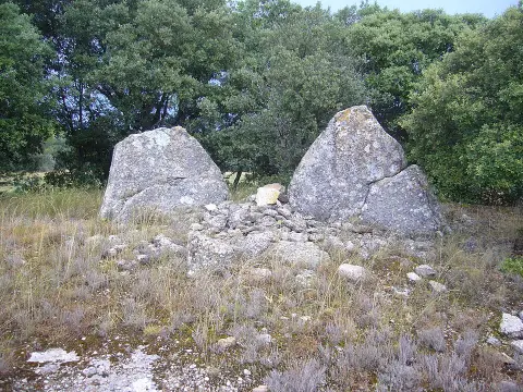 Dolmen de Bassegat