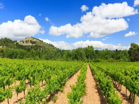 Domaine les Bastides