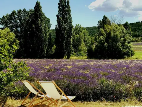 Le Jardin des Lavandes