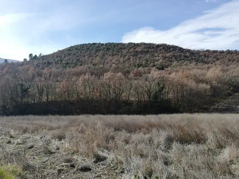 Oppidum de la Vache d'Or