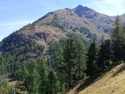 Monte de la Plane (Sommet de la Loubatière)