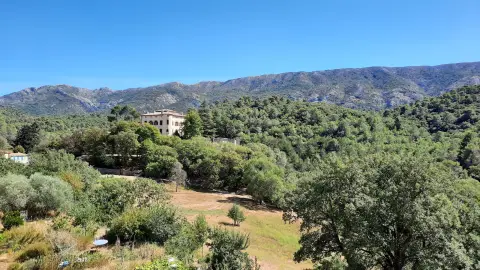 Montagne Sainte-Victoire