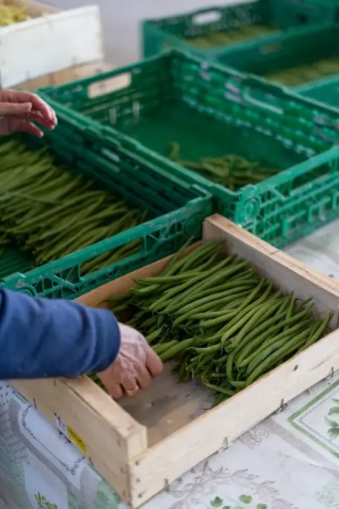 La Récolte des Confines