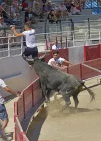 Les Arènes Municipales