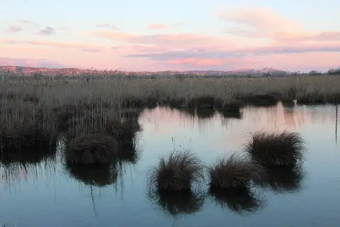 Réserve naturelle de l'Ilon