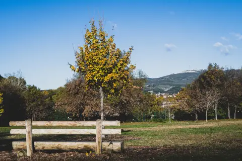 Parc Athéna