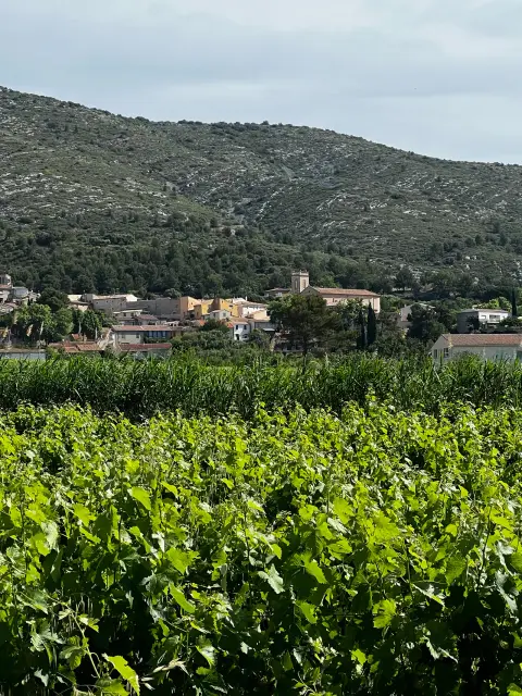 Randonnée au coeur du village