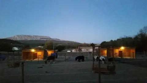 FINCA SANTA VICTORIA