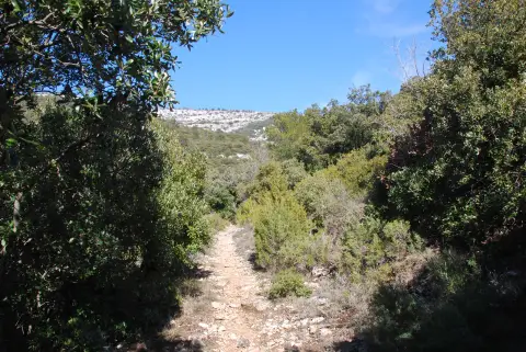Le pic de Bertagne par le col de l`Ange