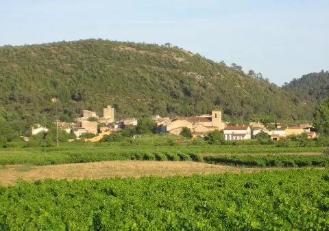 Eurl les Vignerons de Correns