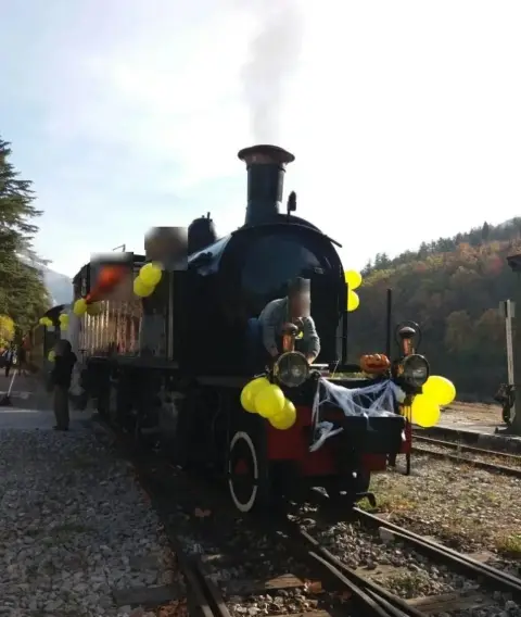 Train des Pignes Historique