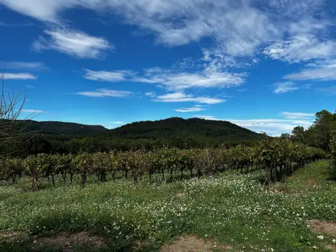 Domaine Croix-Rousse