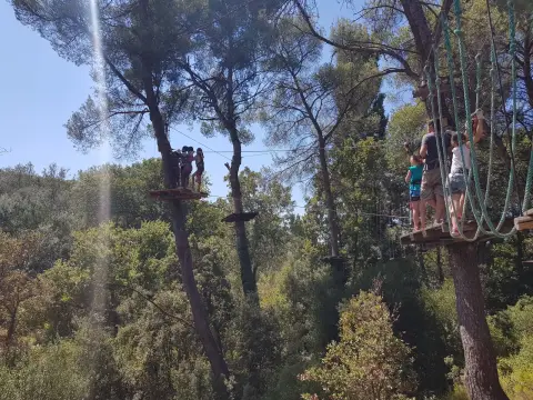 Indian Forest Bouc Bel Air