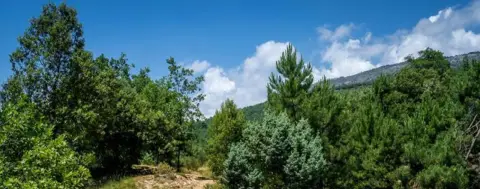 Parc de Roquevignon