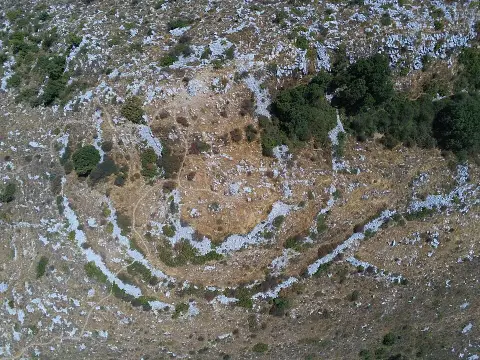 Mouton d'Anou