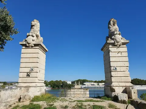 Les 2 lions