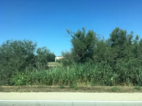 Réserve Naturel De Camargue