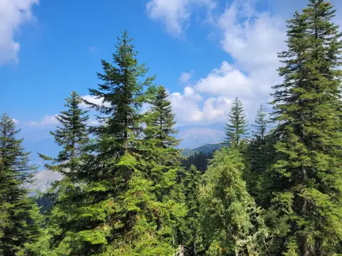 Cime de l'Escaillou