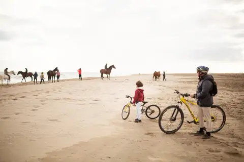 La Camargue à Vélo : 6 Couleurs gardiannes, couleurs gitanes