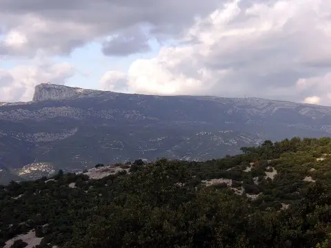 Forêt de la Sainte-Baume